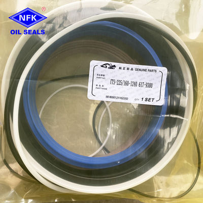 617-9300 Hydraulic Cylinder Seal kits