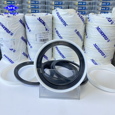 TPM 5 bộ với các thông số kỹ thuật đầy đủ Ý DPM Tailgate Cylinder Oil Seal DBM Combination Seals.