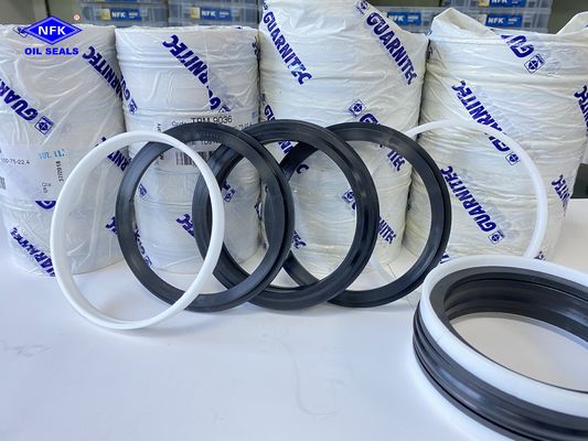 100% Italy TPM Seal và KDSAS Piston Cylinder Combination Oil Seals